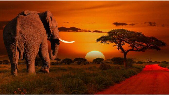 Qué ver en Kenia: Los 10 lugares imprescindibles