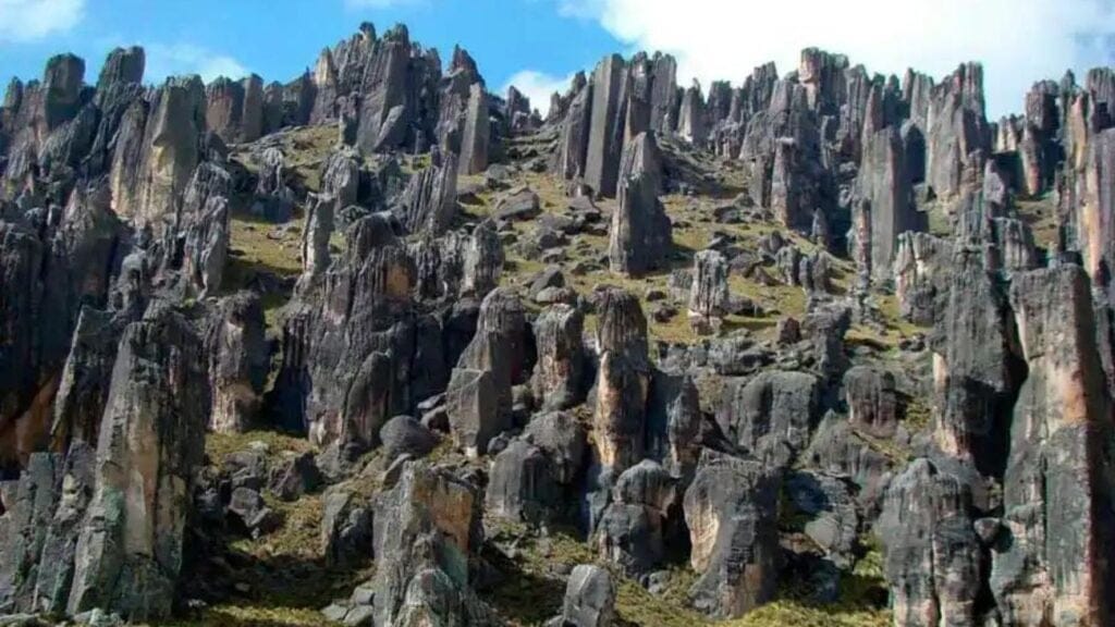 bosque de piedra arequipa