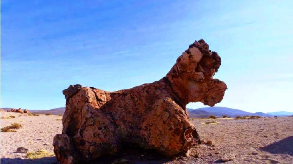 bosque de piedra arequipa