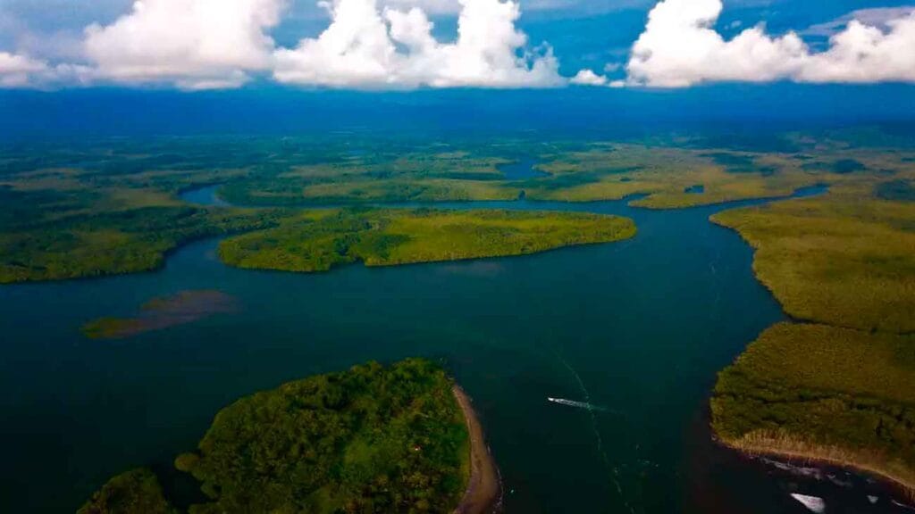 manglares puntarenas
