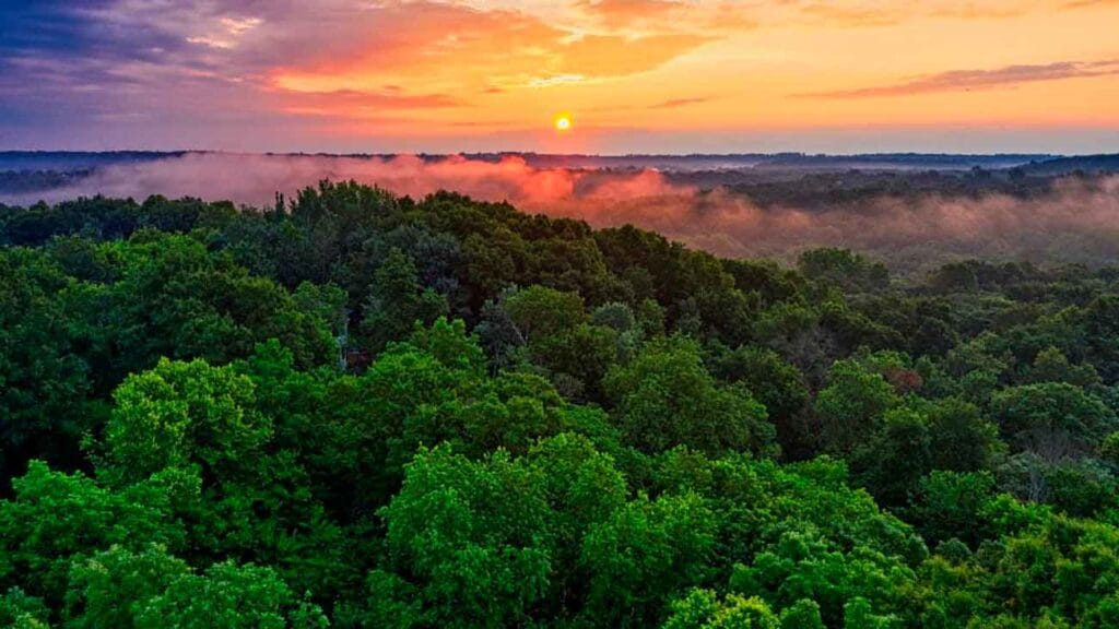 amazonia boliviana
