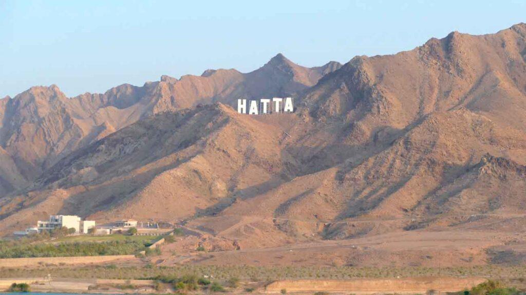 cartel hatta mas alto mundo