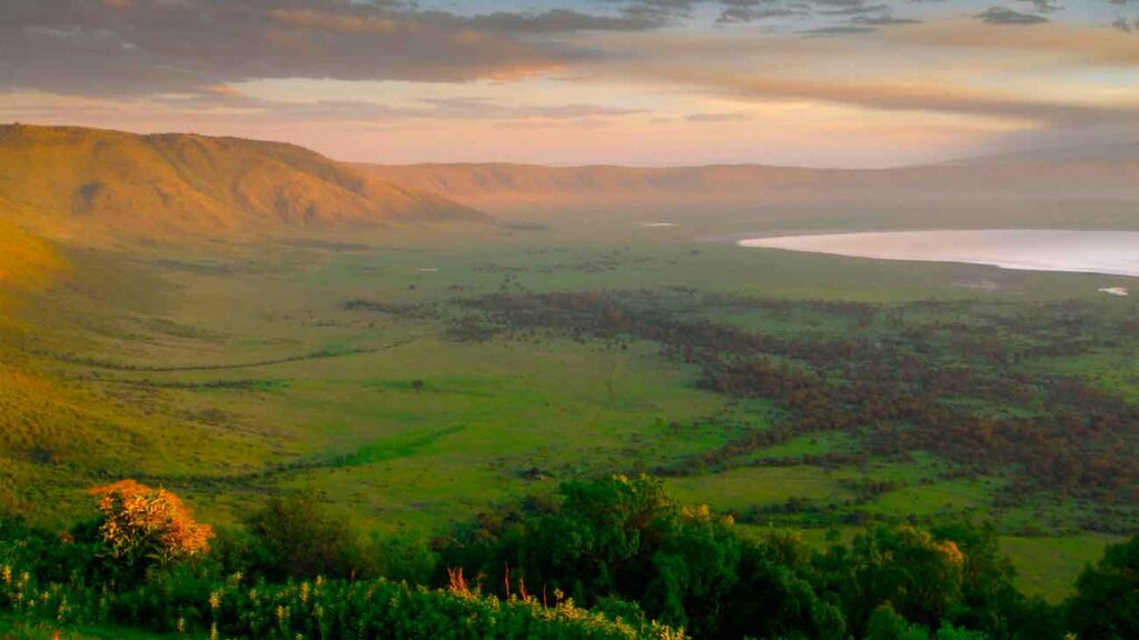 Crater del ngorongoro