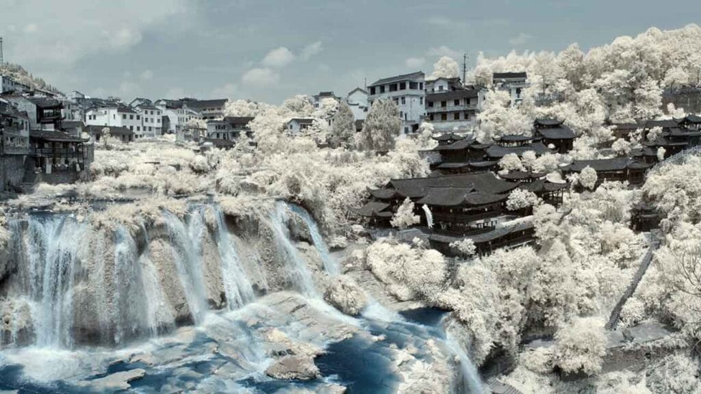 furong invierno