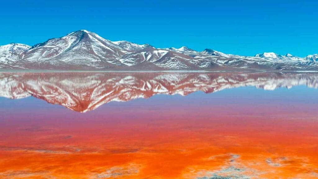 laguna colorada bolivia