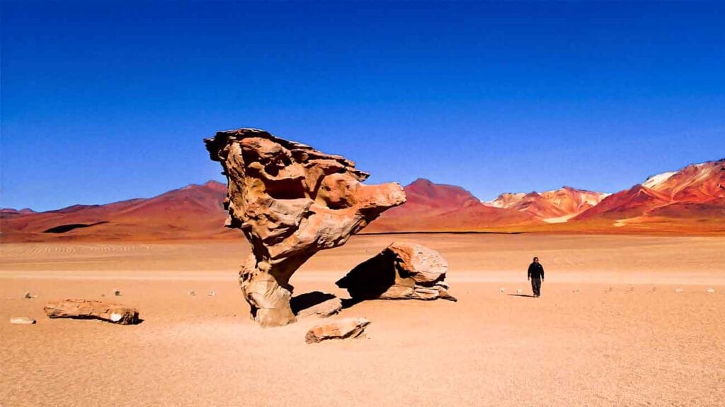 reserva nacional eduardo avaroa arbol de piedra