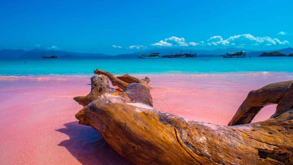 playa rosa indonesia